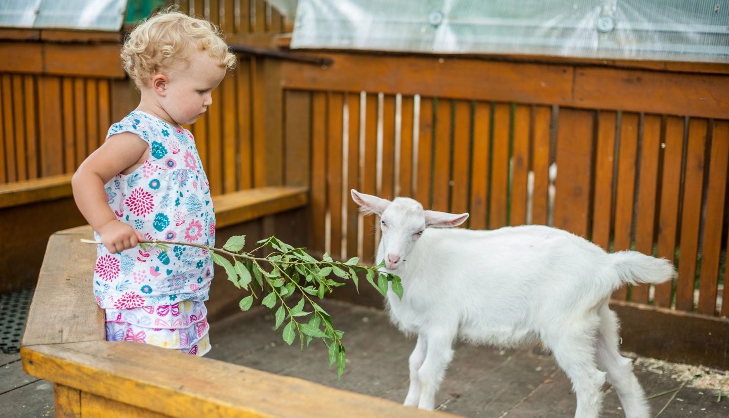 BlogBibinoBoyToddlerinSummer4.jpg